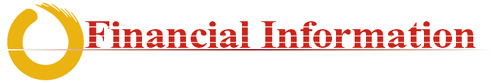 Financial Information